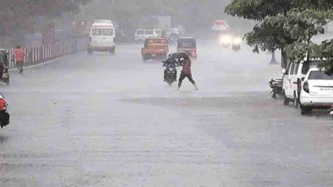 રાજ્યમાં મેઘરાજા મહેરબાન : દક્ષિણ ગુજરાત અને સૌરાષ્ટ્રને ઘમરોળશે મેઘો, આગામી ચાર દિવસ સુધી વરસાદની આગાહી