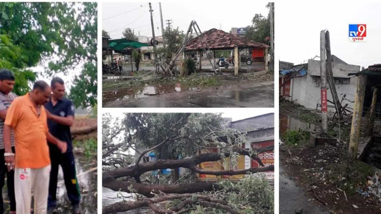 સાબરકાંઠા અને અરવલ્લીમાં વરસાદનુ તોફાની સ્વરુપ, ક્યાંક વૃક્ષ તો ક્યાંક વિજપોલ ધરાશાયી થયા, ઝાડ પડતા બાઈક ચાલકનુ મોત