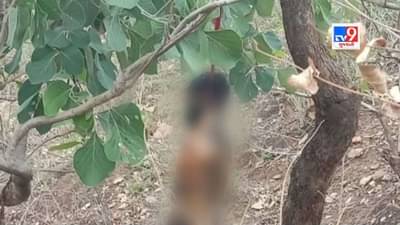 સરપંચના ફોનથી પોલીસ દોડતી પહોંચી તો હોરર ફિલ્મ જેવો સીન જોવા મળ્યો, લટકતી લાશનો અડધો હિસ્સો જ ગાયબ હતો