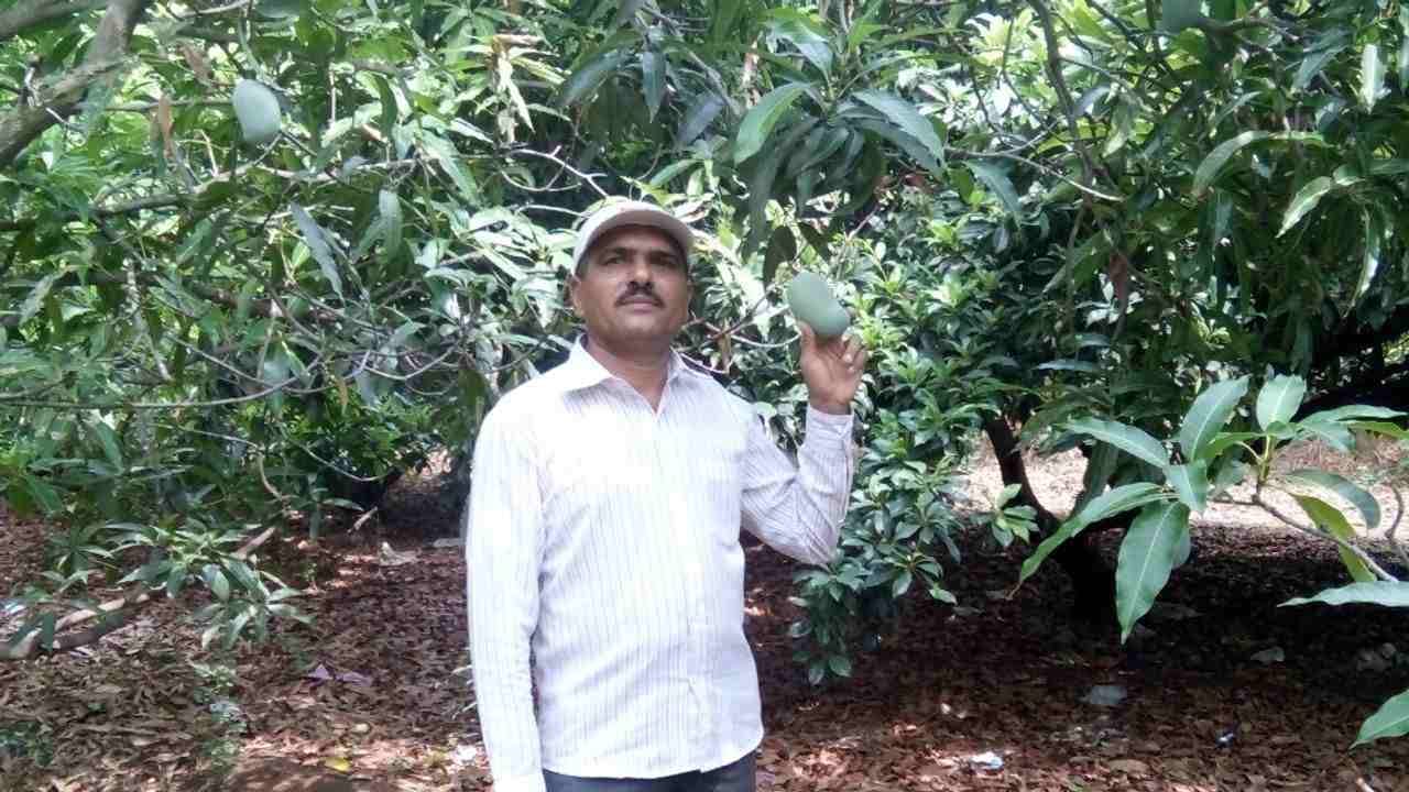 Farmer Story: ખેડૂતે દિકરીના જન્મ સાથે પ્રાકૃતિક ખેતી કરવાનો સંકલ્પ કરી વાડી તૈયાર કરી, 22 વર્ષ બાદ હવે લાખ્ખોની આવક થવા લાગી