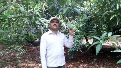 Farmer Story: ખેડૂતે દિકરીના જન્મ સાથે પ્રાકૃતિક ખેતી કરવાનો સંકલ્પ કરી વાડી તૈયાર કરી, 22 વર્ષ બાદ હવે લાખ્ખોની આવક થવા લાગી