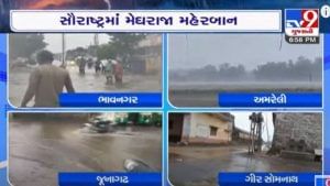 Gujarat Monsoon 2022: સૌરાષ્ટ્રમાં મેઘરાજા ઓળઘોળ, જૂનાગઢ અમરેલીમાં નદી નાળા છલકાઈ ઉઠ્યા