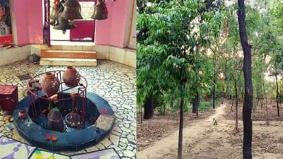 ઉત્તર પ્રદેશના હમીરપુરમાં એક એવું શિવ મંદિર જેનું કદ દર વર્ષે વધે છે, આપ મેળે ઉગે છે ચંદનના વૃક્ષો