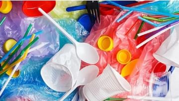 સિંગલ યુઝ પ્લાસ્ટિક પર પ્રતિબંધથી વેપારીઓ થશે પરેશાન, લાખો લોકો થઈ જશે બેરોજગાર - CAIT