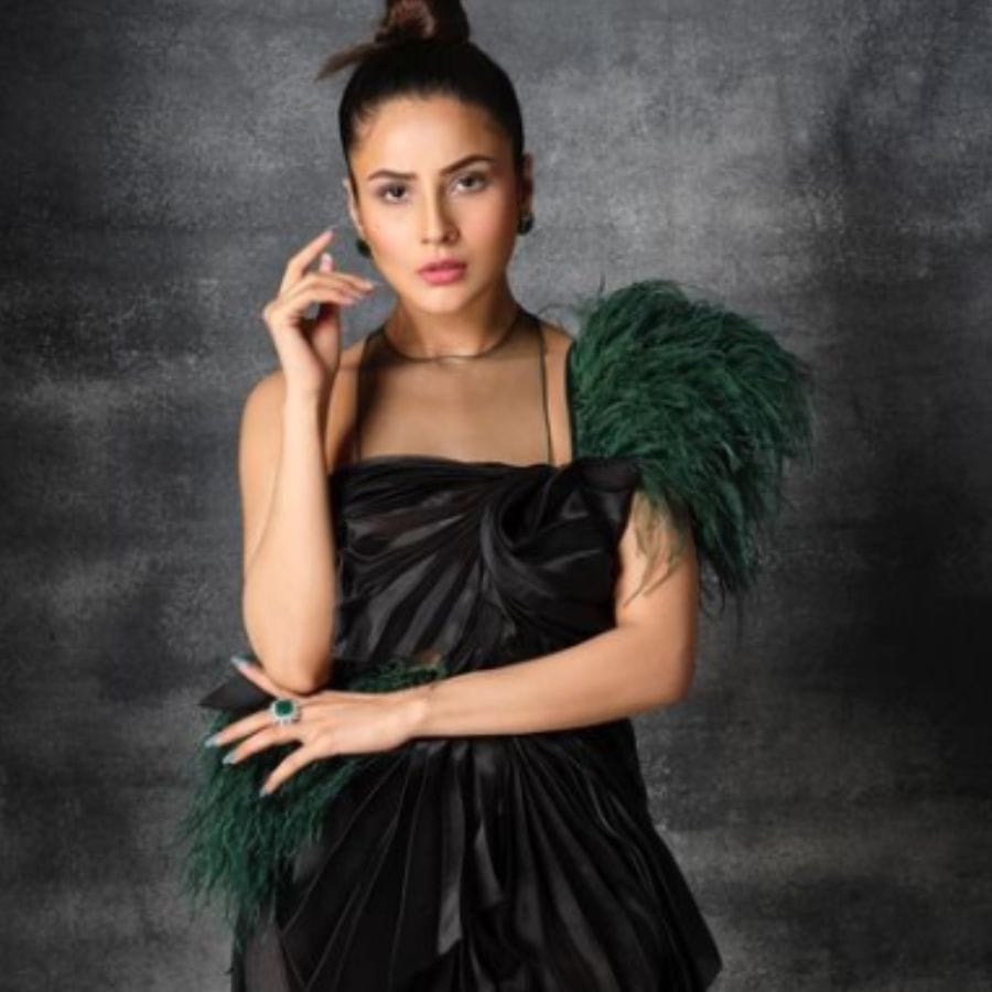 આ સાથે લોકો શહનાઝની સ્ક્રીન પ્રેઝન્સની પણ પ્રશંસા કરે છે. શહનાઝ ગિલે તેના ઇન્સ્ટાગ્રામ હેન્ડલ પર સ્વિમસૂટમાં સિઝલિંગ ફોટા અપલોડ કર્યા છે. જેને જોઈને બધાના ધબકારા થંભી ગયા છે.