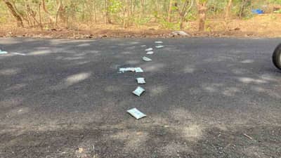 Dahod : ફરી એકવાર સંજીવની યોજના હેઠળ અપાતી દુધની થેલીઓ રસ્તા પર ફેંકેલી હાતલમાં જોવા મળી, ICDS વિભાગ પર બેદરકારીના આક્ષેપ