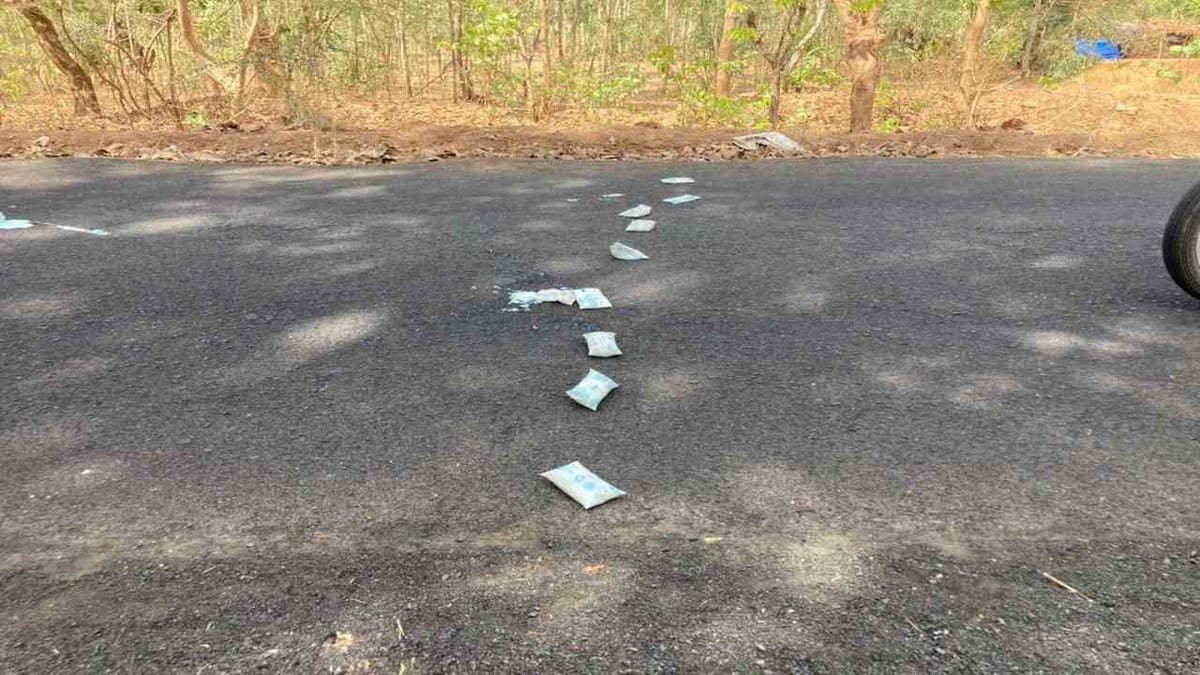 Dahod : ફરી એકવાર સંજીવની યોજના હેઠળ અપાતી દુધની થેલીઓ રસ્તા પર ફેંકેલી હાતલમાં જોવા મળી, ICDS વિભાગ પર બેદરકારીના આક્ષેપ