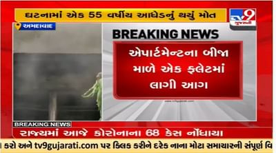 Ahmedabad : વેજલપુરના સિદ્ધિ એપાર્ટમેન્ટમાં અચાનક આગ ફાટી નીકળી, આધેડ વયના પુરુષનું મૃત્યુ Ahmedabad : વેજલપુરના સિદ્ધિ એપાર્ટમેન્ટમાં અચાનક આગ ફાટી નીકળી, આધેડ વયના પુરુષનું મૃત્યુ