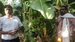 કેળાની ખેતીમાં આ ખેડૂતને ભારે સફળતા મળી, હવે ઘણા જિલ્લાઓમાં કેળાની સપ્લાય કરે છે