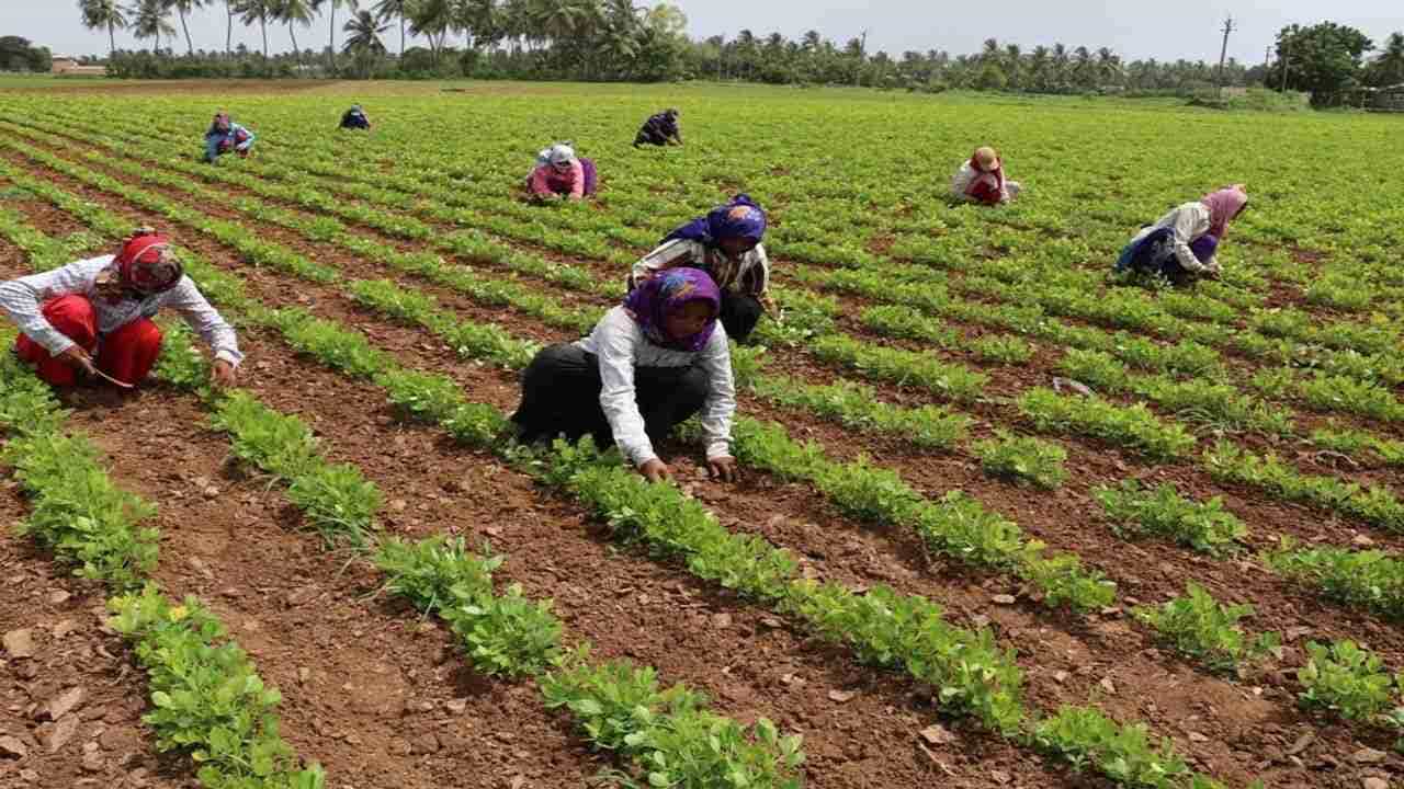 South Gujarat : ઉર્જામંત્રી સામે સિંગલ ફેઝ વીજળી મુદ્દે દક્ષિણ ગુજરાતના ખેડૂતોની હૈયાવરાળ