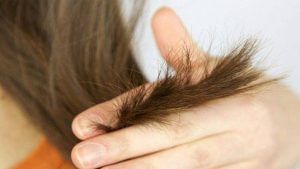 Hair Care: સ્પ્લિટ એન્ડ્સને દૂર કરવા બનાવો હોમમેડ હેર ઓઈલ, થશે ફાયદો