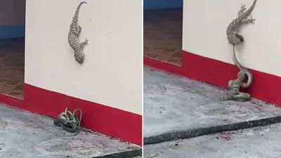 True Friendship : પોતાના મિત્રનો જીવ બચાવવા સાપ સાથે લડી પડી ગરોળી, વીડિયો થયો વાયરલ