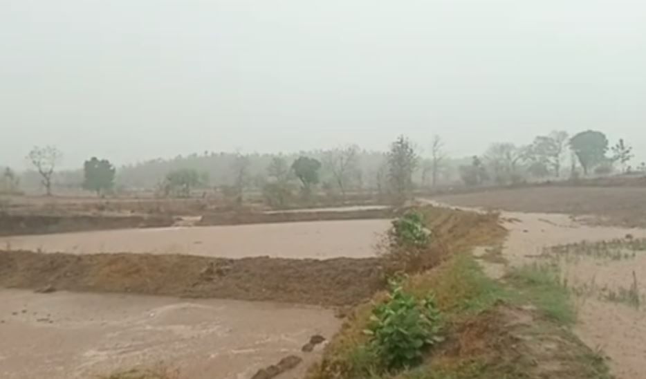 Mahisagar : જિલ્લાના વાતાવરણમાં પલટો આવ્યો, ગ્રામીણ વિસ્તારમાં વરસાદ પડતા લોકોને રાહત