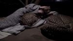 Shocking Video: ખતરનાક ચિત્તા સાથે નિરાંતે સૂતો જોવા મળ્યો એક માણસ, લોકોએ કહ્યું- 'આ છે અસલી Tarzan'