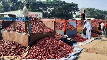 Onion Price : ખેડૂતોની ચેતવણી - પરિસ્થિતિ નહીં સુધરે તો ડુંગળીના ભાવ 200 રૂપિયા પ્રતિ કિલો સુધી થશે