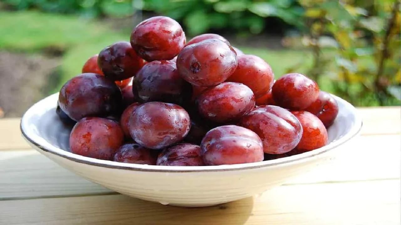 Benefits of Plum: ચોમાસામાં આલુ બુખારા અવશ્ય ખાઓ, જાણો આ ફ્રુટ ખાવાના આશ્ચર્યજનક ફાયદા