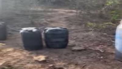 Porbandar: જિલ્લામાં દેશી દારૂની રેલમછેલ, પોલીસે 24 કલાકમાં નોંધ્યા 10થી વધુ કેસ