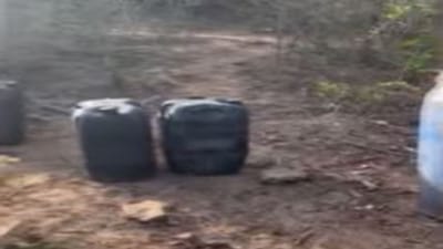 Porbandar: જિલ્લામાં દેશી દારૂની રેલમછેલ, પોલીસે 24 કલાકમાં નોંધ્યા 10થી વધુ કેસ