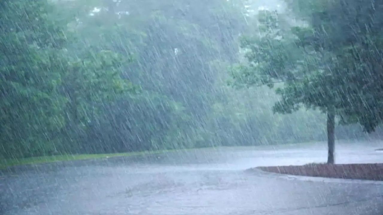 વડોદરા શહેરના કેટલાક વિસ્તારોમાં વરસાદી માહોલ, ફતેહગંજ, રેસકોર્સ સહિતના વિસ્તારોમાં ઝાપટા બાદ ઠંડક