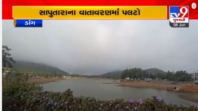 Dang : ગિરિમથકમાં વાદળછાયાં વાતાવરણ વચ્ચે કુદરતી સૌંદર્ય ખીલ્યું, જુઓ સાપુતારાની સુંદરતાના દ્રશ્યો