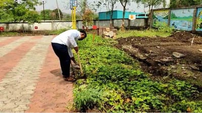 RAJKOT : દિવ્યાંગ શિક્ષક શાળાના પ્રાંગણમાં જ ઓર્ગેનિક શાકભાજીની ખેતી કરે છે, આ ખેતી પાછળ છે શિક્ષકનો એક ઉમદા ઉદેશ્ય