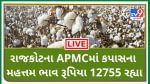 Mandi: રાજકોટના APMCમાં કપાસના મહત્તમ ભાવ રૂપિયા 12755 રહ્યા,જાણો જુદા-જુદા પાકના ભાવ