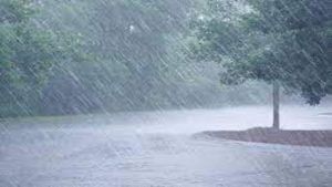 Gujarat Monsoon 2022: 11 તાલુકા ચાતક નજરે જોઈ રહ્યા છે વરસાદની વાટ, જોકે સૌરાષ્ટ્ર ઉપર મહેરબાન મેઘરાજા