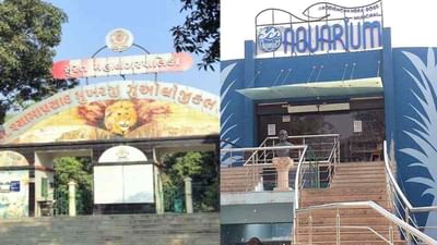 Surat : પ્રાણી સંગ્રહાલય અને એક્વેરિયમના અચ્છે દિન આવ્યા, કોરોના મહામારીના બે વર્ષ બાદ આવકમાં વધારો