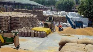 ભારત ટૂંક સમયમાં 12 લાખ ટન ઘઉંની નિકાસ માટે લીલી ઝંડી આપી શકે છે, પ્રતિબંધ બાદ બંદરો પર પડેલો છે ઘઉંનો જથ્થો
