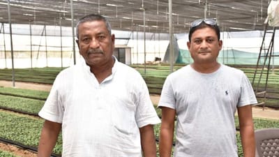 Vadodara : ધરુ ઉછેરમાં ખેડૂતે કરી બતાવી કમાલ, મધ્યમ કદની કંપનીના સીઈઓ જેટલી મેળવે છે આવક