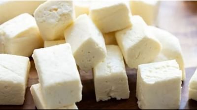 Paneer vs Tofu : પનીર અને ટોફુ વચ્ચે શું તફાવત છે, જે સ્વાસ્થ્ય માટે વધુ ફાયદાકારક છે