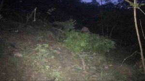 Uttarkashi Bus Accident: યમુનોત્રી જતી બસ 500 મીટર ઊંડી ખીણમાં પડી, 27ના મોત અને 3ની હાલત ગંભીર; સરકારે હેલ્પલાઈન નંબર જાહેર કર્યો