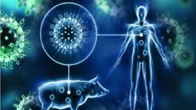 Swine Flu :  કોરોના વચ્ચે હવે સ્વાઈન ફ્લૂએ લોકોની ચિંતા વધારી છે, જાણો તેના લક્ષણો, સારવારની રીતો અને નિવારણ