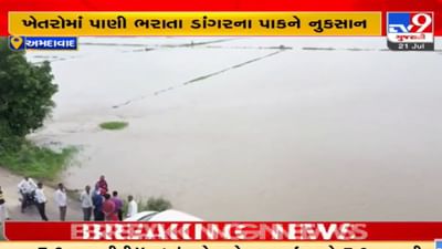 Ahmedabad: વરસાદી પાણીમાં ખેતરો ડૂબ્યા! ખેતરોમાં પાણી ભરાતા ડાંગરના પાકને નુકસાન, સમસ્યાના કાયમી ઉકેલની માગ કરતા ખેડૂતો Ahmedabad: વરસાદી પાણીમાં ખેતરો ડૂબ્યા! ખેતરોમાં પાણી ભરાતા ડાંગરના પાકને નુકસાન, સમસ્યાના કાયમી ઉકેલની માગ કરતા ખેડૂતો