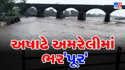 અમરેલીમાં અનરાધાર વરસાદથી જિલ્લાની સૌથી મોટી શેત્રુંજી સહિતની નદીઓમાં આવ્યાં પૂર