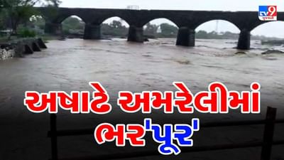 અમરેલીમાં અનરાધાર વરસાદથી જિલ્લાની સૌથી મોટી શેત્રુંજી સહિતની નદીઓમાં આવ્યાં પૂર