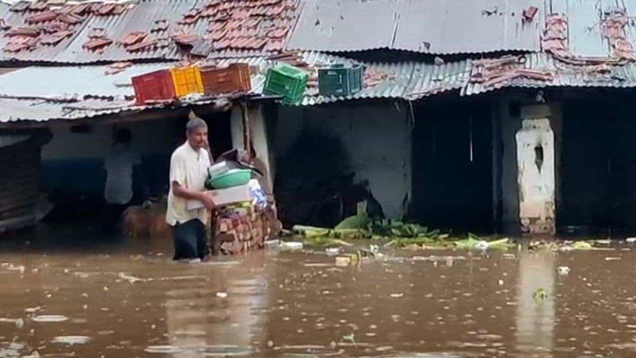 Anand: બોરસદમાં વરસાદના તાંડવથી તારાજી,ભાદરણમાંથી 250 લોકોનું સ્થળાંતર, 1 વ્યક્તિ સહિત 11 પશુનાં મોત