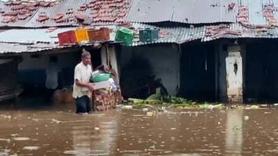 Anand: બોરસદમાં વરસાદના તાંડવથી તારાજી,ભાદરણમાંથી 250 લોકોનું સ્થળાંતર, 1 વ્યક્તિ સહિત 11 પશુનાં મોત