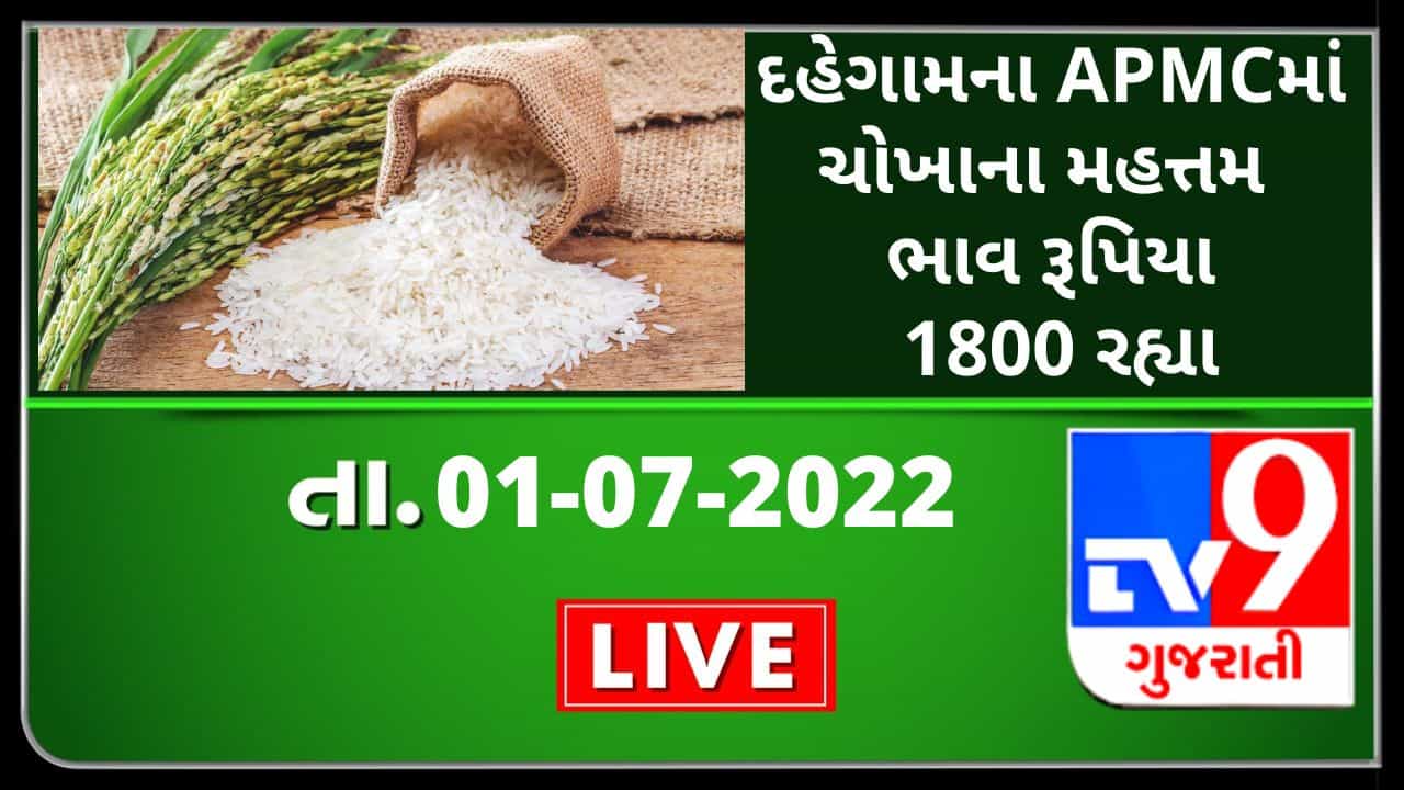 Mandi:દહેગામના APMCમાં ચોખાના મહત્તમ ભાવ રૂપિયા 1800 રહ્યા,જાણો જુદા-જુદા પાકના ભાવ