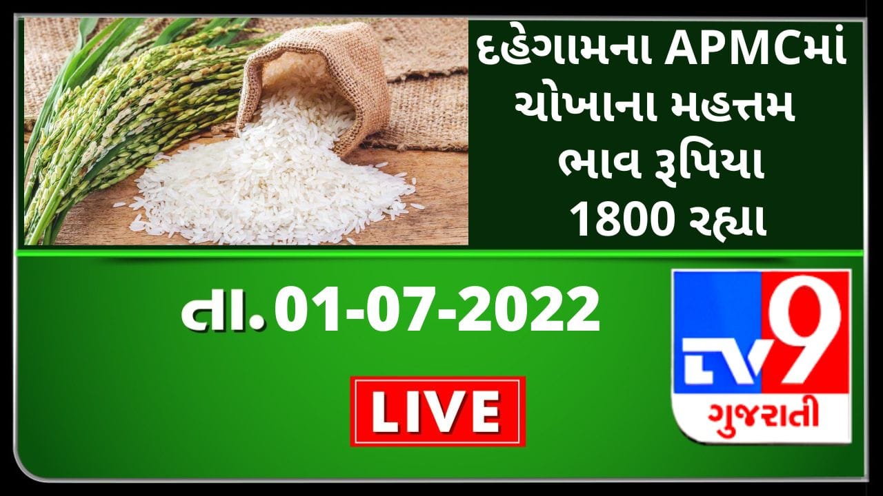 Mandi:દહેગામના APMCમાં ચોખાના મહત્તમ ભાવ રૂપિયા 1800 રહ્યા,જાણો જુદા-જુદા પાકના ભાવ Mandi:દહેગામના APMCમાં ચોખાના મહત્તમ ભાવ રૂપિયા 1800 રહ્યા,જાણો જુદા-જુદા પાકના ભાવ