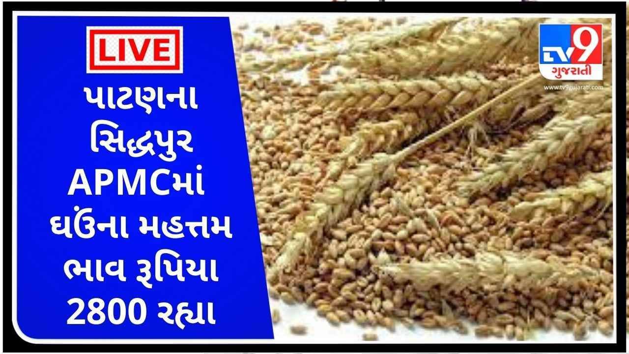 Mandi : પાટણના સિદ્ધપુર APMCમાં ઘઉંના મહત્તમ ભાવ રૂપિયા 2800 રહ્યા, જાણો જુદા-જુદા પાકના ભાવ