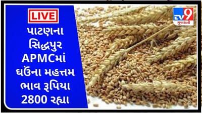Mandi : પાટણના સિદ્ધપુર APMCમાં ઘઉંના મહત્તમ ભાવ રૂપિયા 2800 રહ્યા, જાણો જુદા-જુદા પાકના ભાવ