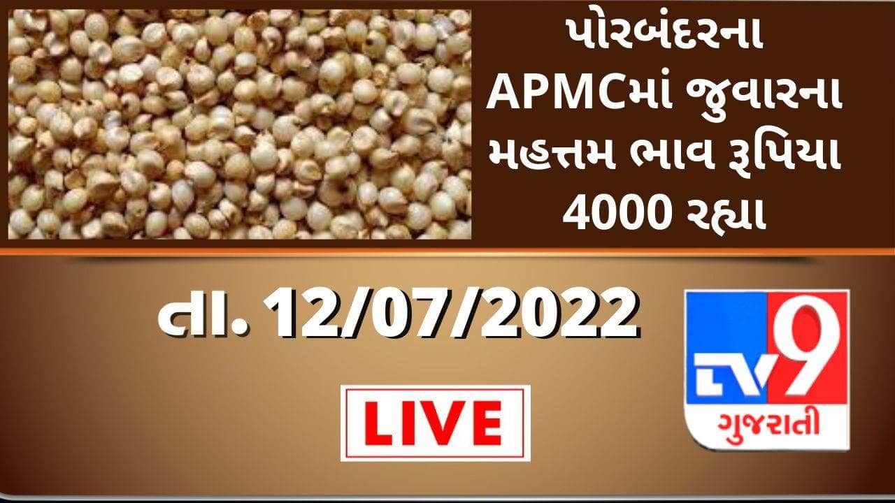 Mandi:પોરબંદરના APMCમાં જુવારના મહત્તમ ભાવ રૂપિયા 4000 રહ્યા,જાણો જુદા-જુદા પાકના ભાવ