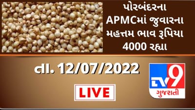 Mandi:પોરબંદરના APMCમાં જુવારના મહત્તમ ભાવ રૂપિયા 4000 રહ્યા,જાણો જુદા-જુદા પાકના ભાવ