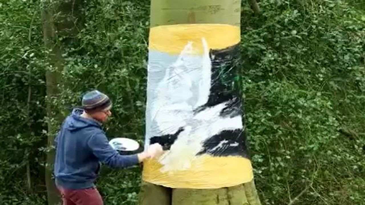 Viral Video: ઓહો અદ્ભૂત...આર્ટિસ્ટે ઝાડ પર બનાવી સુંદર કલા, પેઈન્ટિંગ જોઈને લોકો થયા મંત્રમુગ્ધ