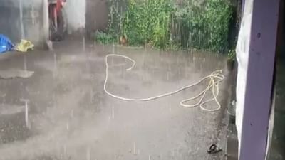 Amreli: વડિયાના ગ્રામ્ય વિસ્તારમાં ફરીથી ધોધમાર વરસાદ, સુરવો ડેમમાં થઈ નવા નીરની આવક