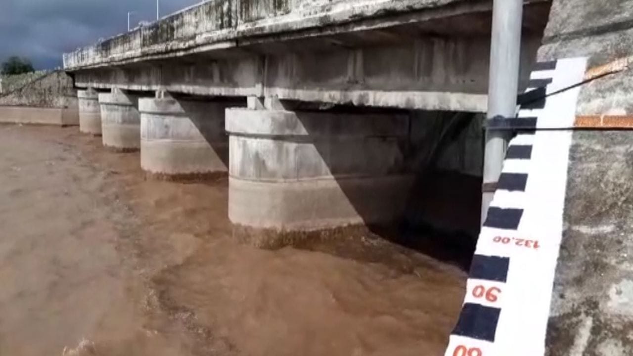Amreli: વડિયાનો સુરવો ડેમ 80 ટકા ભરાયો, નદીના પટમાં ન જવા ચેતવણી