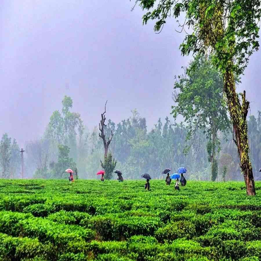 આસામ: જુલાઈમાં ભારે વરસાદ પડે છે અને આ સમયગાળા દરમિયાન પર્વતીય વિસ્તારોમાં મુસાફરી ન કરવાની સલાહ આપવામાં આવે છે. આસામના મોટાભાગના ભાગો એવા છે, જ્યાં ચોમાસા દરમિયાન ભારે વરસાદને કારણે પૂર અથવા ભૂસ્ખલન થાય છે. આ સિઝનમાં ભૂલથી પણ અહીં ન જાવ.