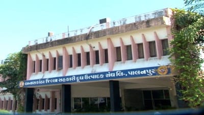 Banaskantha: લમ્પી વાયરસનું સંકટ વધતા બનાસ ડેરીની પશુપાલકો માટે સૂચના, લમ્પી વાયરથી સંક્રમિત પશુનું દૂધ મંડળીમાં ન ભરાવા જણાવ્યું