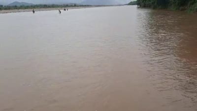 Banaskantha: વરસાદ બાદ ભારત-પાકિસ્તાનની સરહદે નડાબેટનો નયનરમ્ય નજારો, બીજી તરફ બનાસ નદીકાંઠાના ગામોને એલર્ટ કરાયા